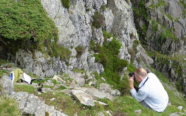 Vegetation monitoring